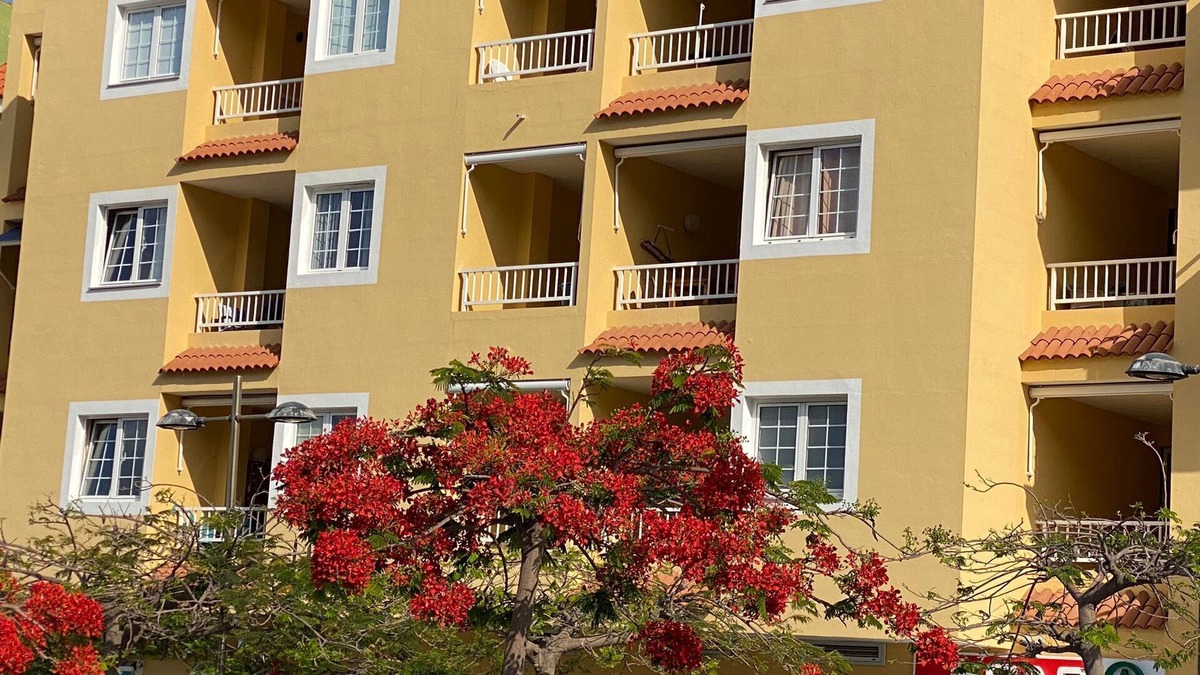 Puerto de Tazacorte Apartment | Sea View Double Bedroom Apartment by the beach in Puerto de Tazacortes, La Palma