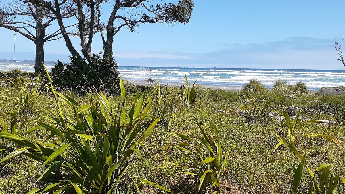 Westport Cottage | Seaside beach studio loft, sheltered garden and cycle trail access. Great value.