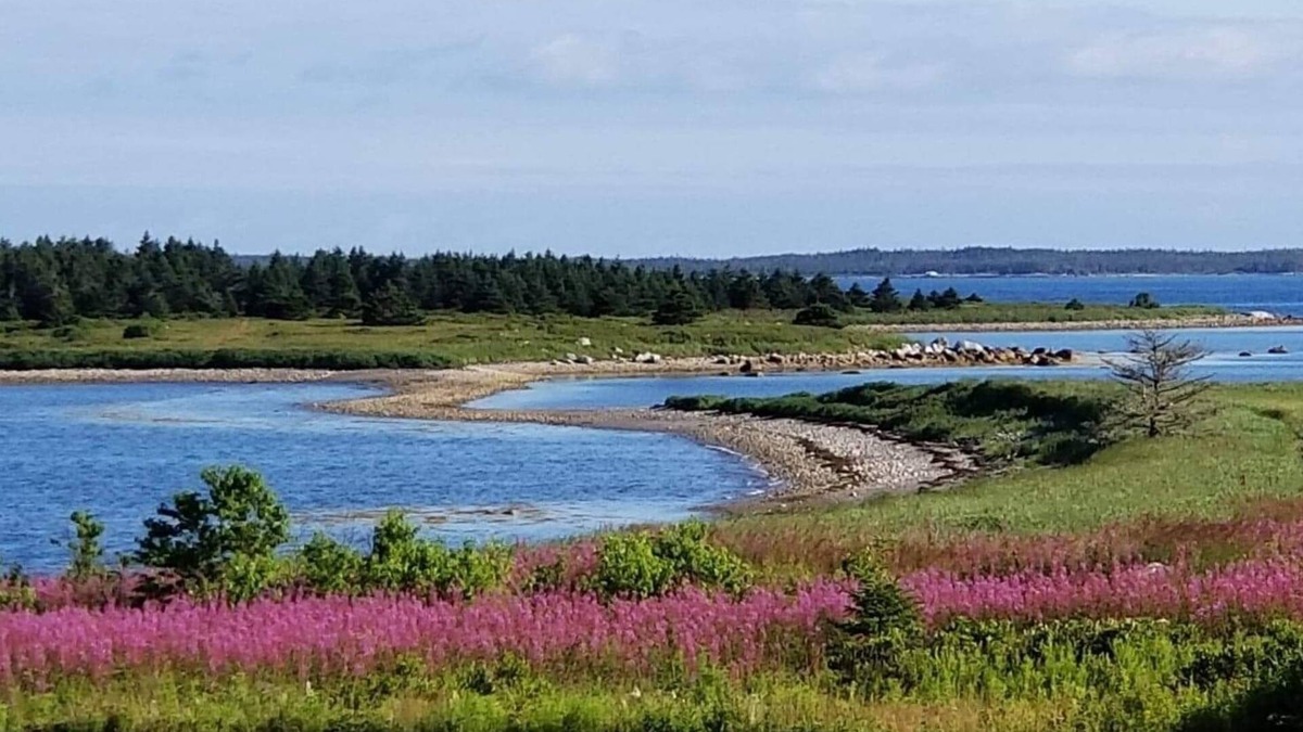 Larry's River House | Seaside Cottage in Beautiful Charlo’s Cove