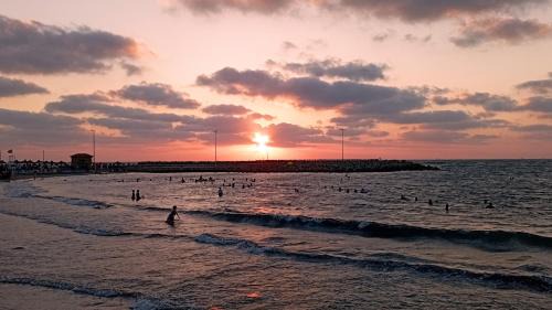 Ras El Bar Apartment | Seaside Serenity Las Alba seaview retreat