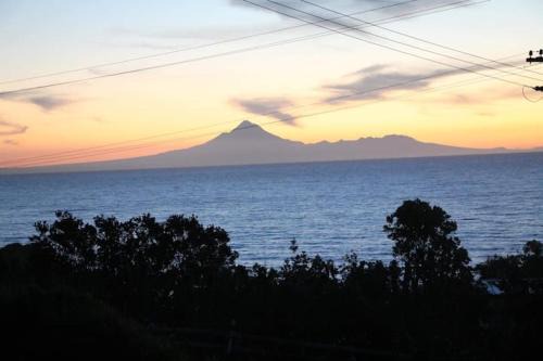 Mokau Bed & Breakfast | Seaview Cottage