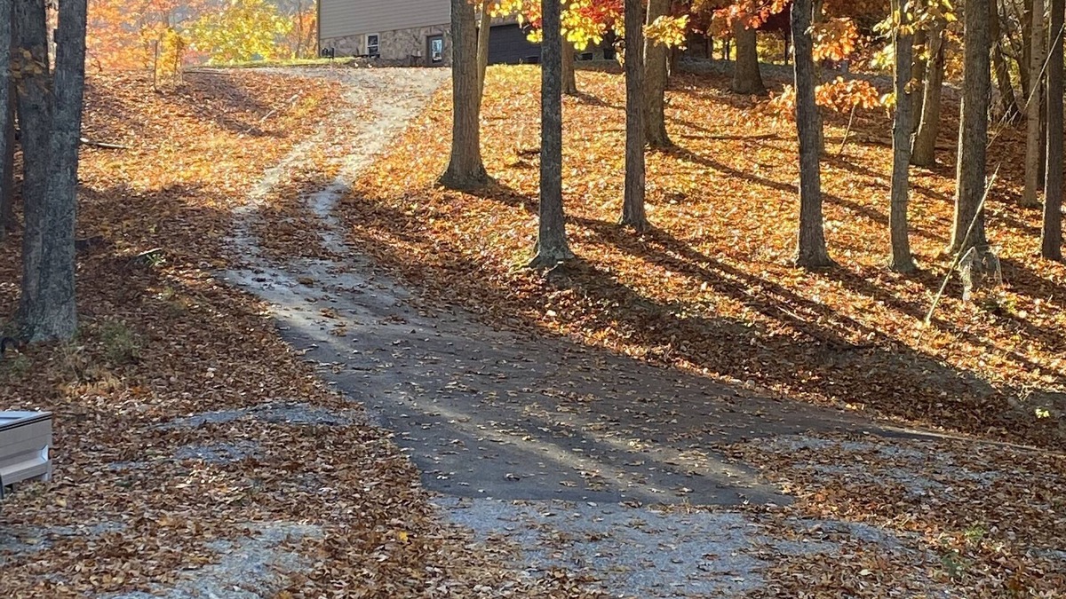 Ingles Apartment | Secluded Apartment in the Woods Near Claytor Lake and Virginia Tech