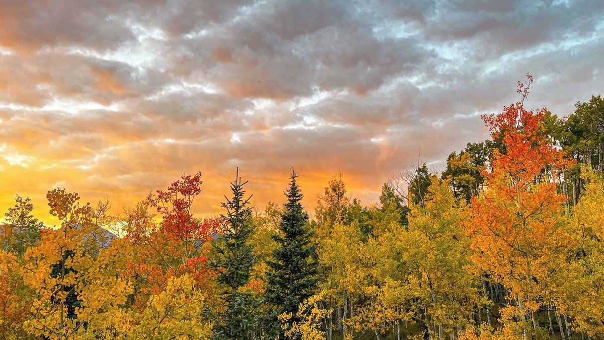 Michigan Hill Cabin | Secluded Aspen Treehouse with Incredible Views