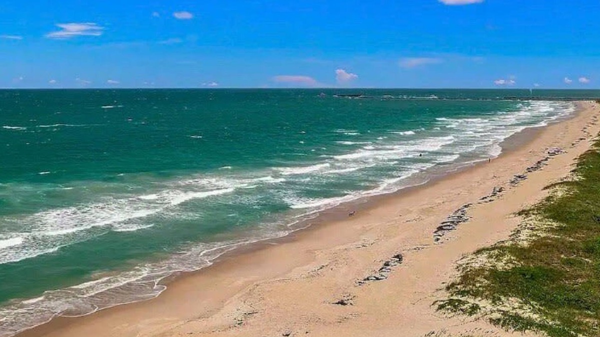 Fort Pierce Shores House | Secluded Beachfront Vibes Surf Pet Friendly