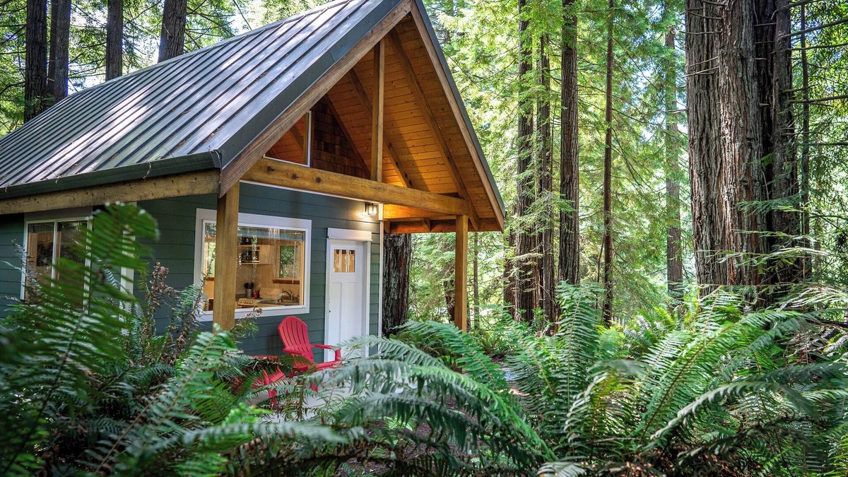 Crescent City Cabin | Secluded Cabin in Redwood Forest