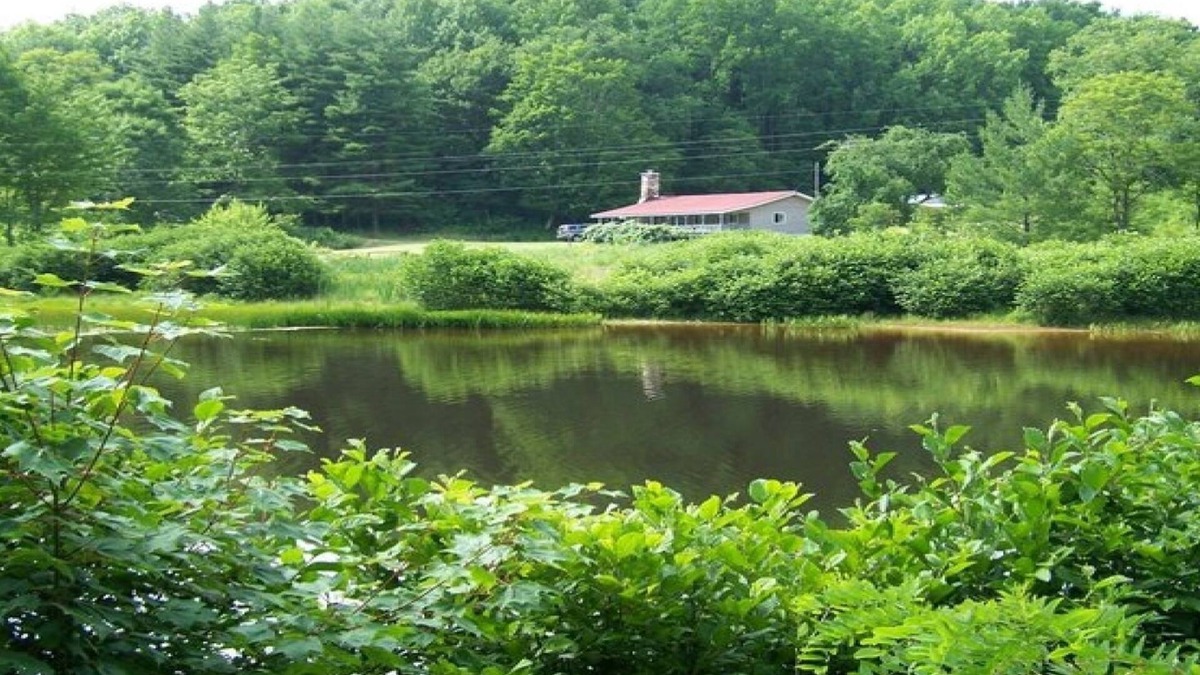 Frank Cabin | Secluded Cabin On Peaceful 100+ Acres with hot tub!