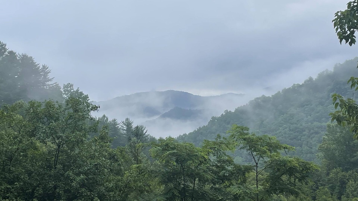 Bryson City Cabin | Secluded cabin with views/creek/wifi near GSMNP