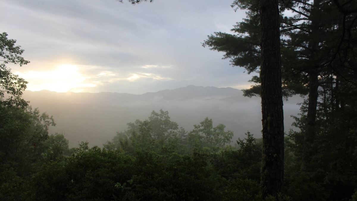 Hayesville Cabin | Secluded Cabin with Views for Miles!