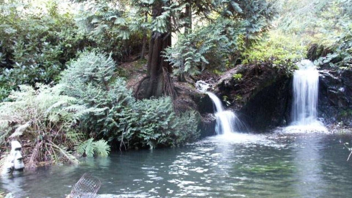 Llanidloes House | Secluded Caravan next to 2 pools & waterfalls. Decking area & Summer house