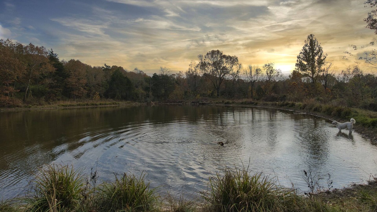Zion House | Secluded Estate Sleeps 8 with 1 acre fishing pond