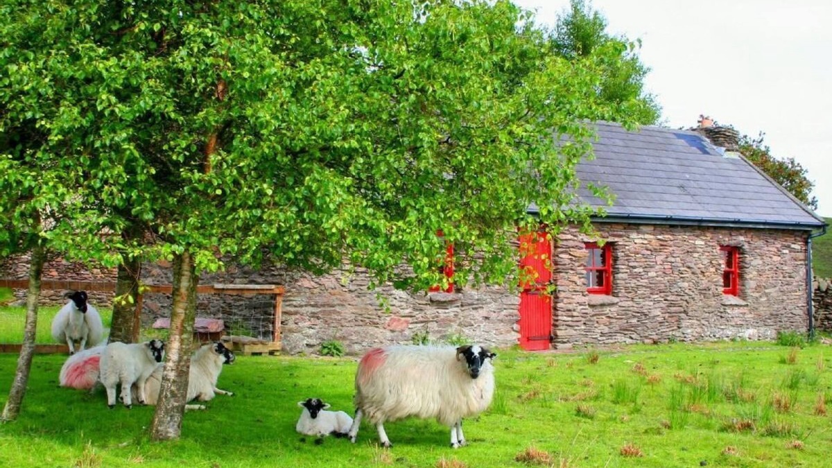 Caragh Other | Secluded hamlet over lake and mountain, flocks of lambs and dams, stunning views