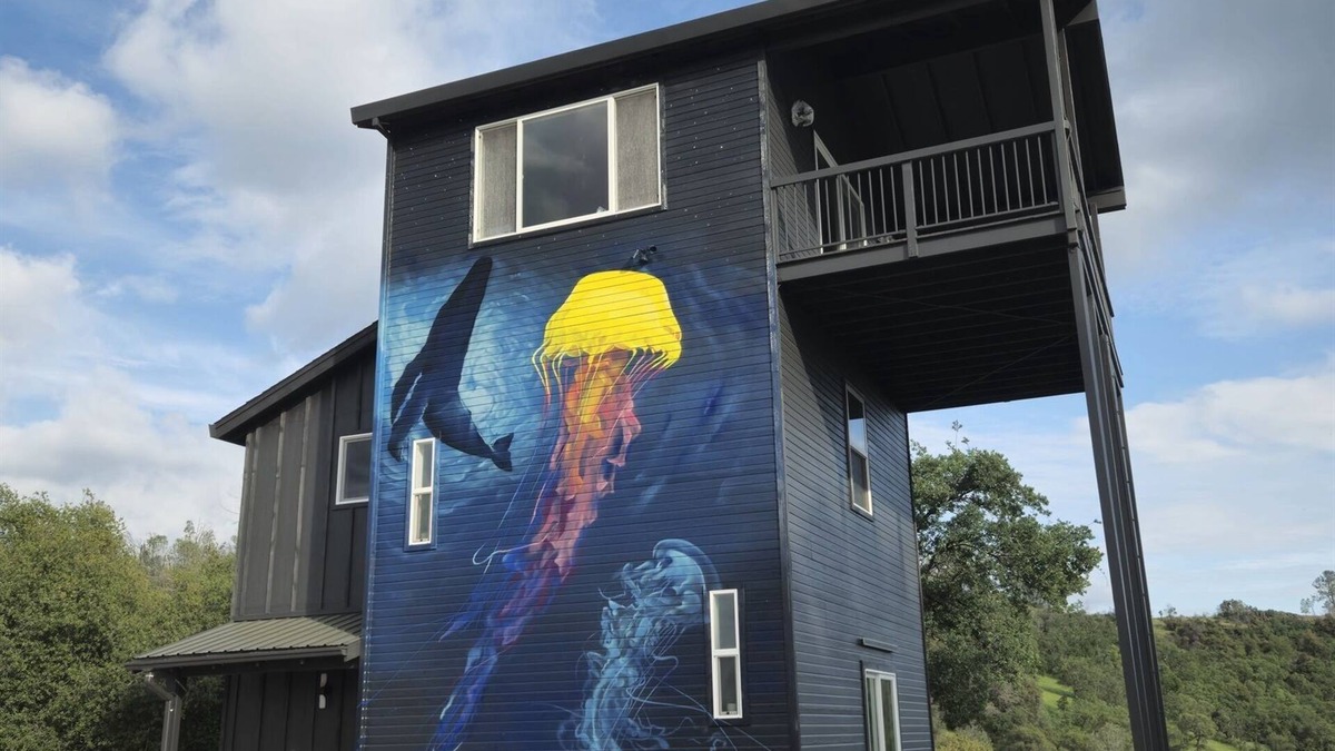 Vallecito Apartment | Secluded Hilltop Tower Private Pond EV Charger Firepit Sauna Cold Plunge Dogs ok