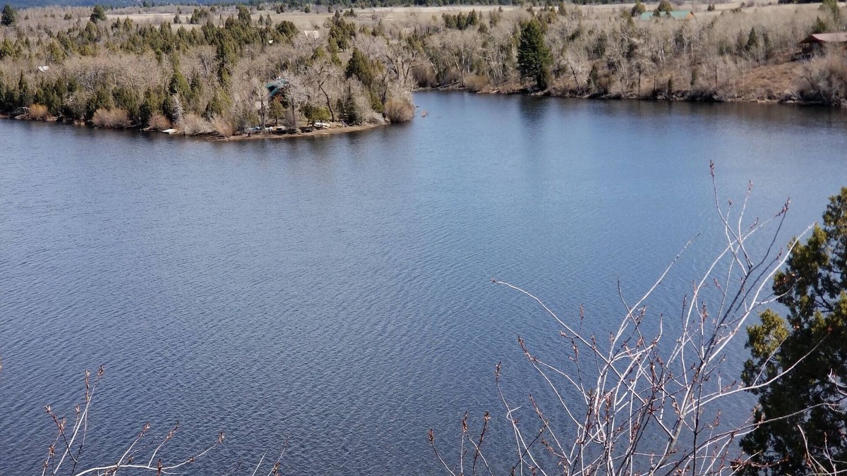 Ashton Cabin | Secluded Lakefront Log Cabin, Wildlife and Fishing Paradise, Pet Friendly