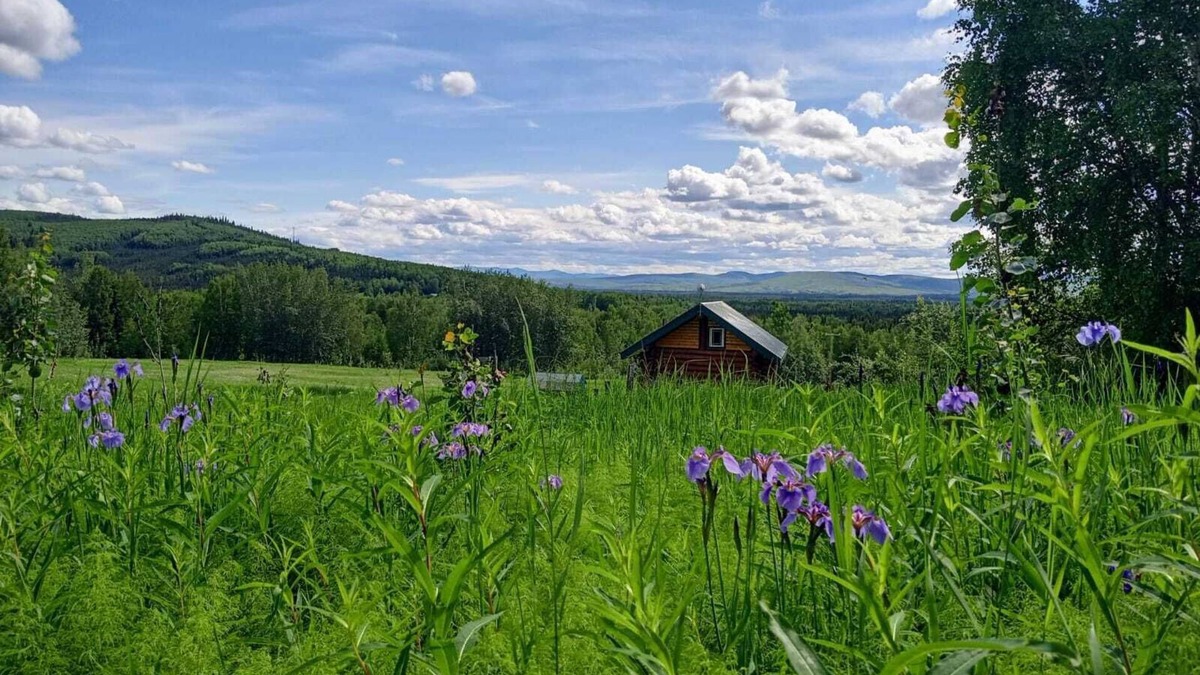 Fairbanks Cabin | Secluded Log Cabin, 30 min from Chena Hot Springs