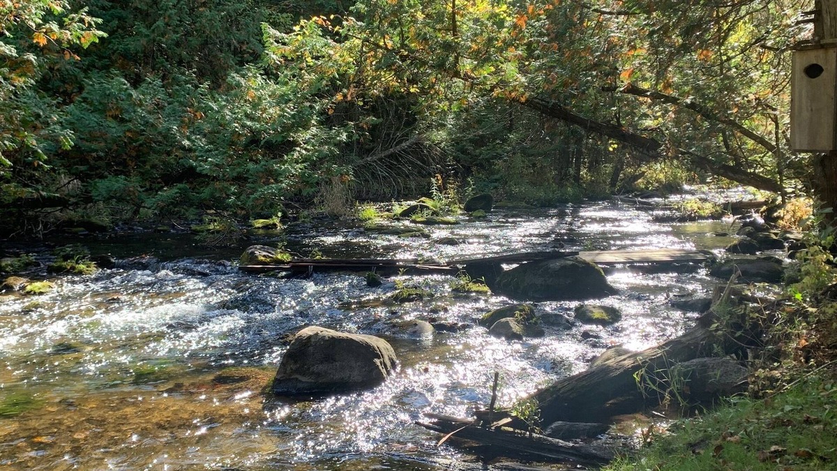 Warkworth House | Secluded modern house, 5 forested acres, running stream, hot tub, game room