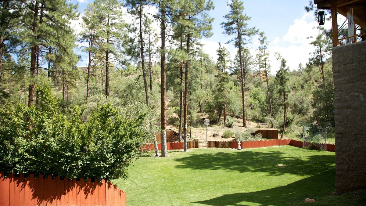 Mountain Club Cabin | Secluded on 9 acres Beautiful 6,000+ Sq. Ft. Cabin, 6 Bd 4.25 Bath