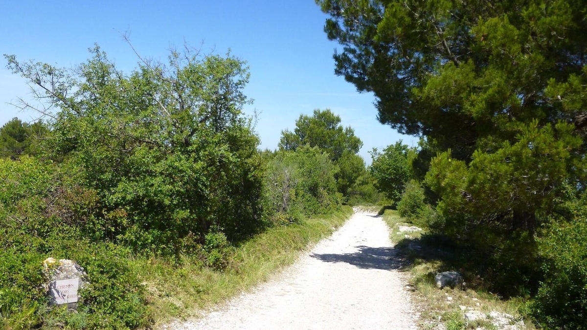 La Roque-sur-Pernes House | Secluded property, views 100 Km, 4-acre park, 17m long pool
