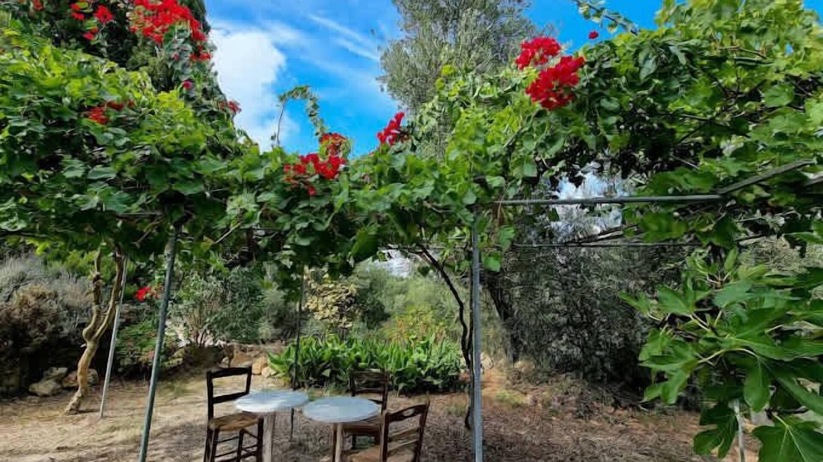 Kouvalata Apartment | Secret Garden Hideaway in Kefalonia