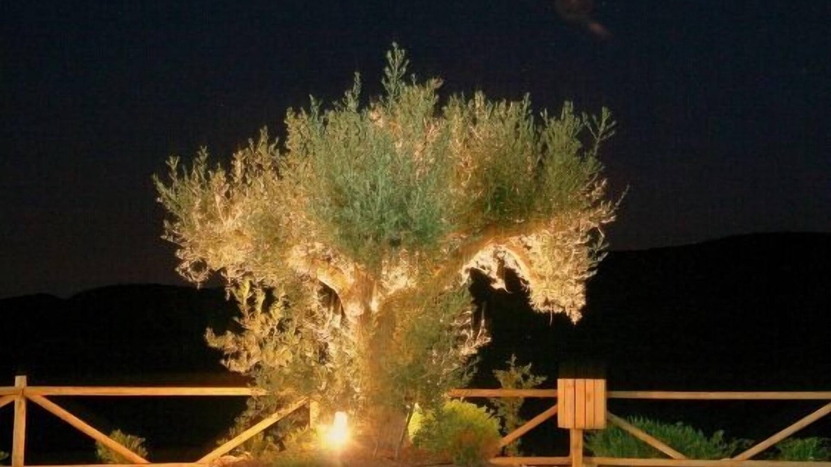 Taberno Cottage | Self catering Sol de Taberno for 6 people