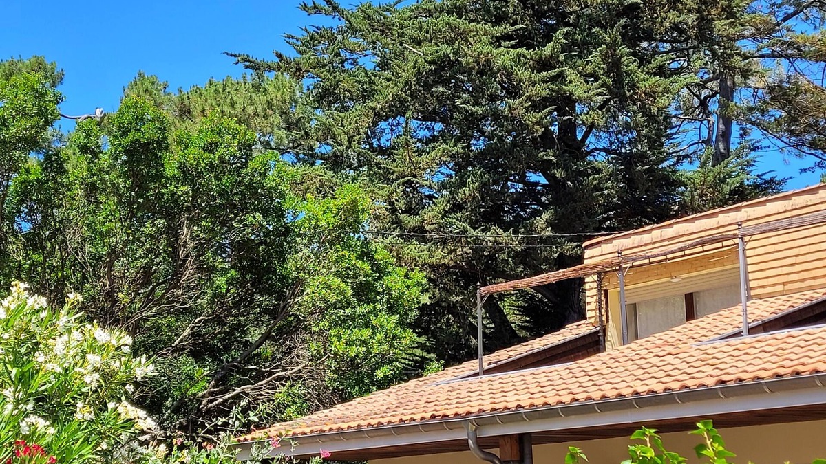 Mimizan Villa | Semi-detached house on the Courant