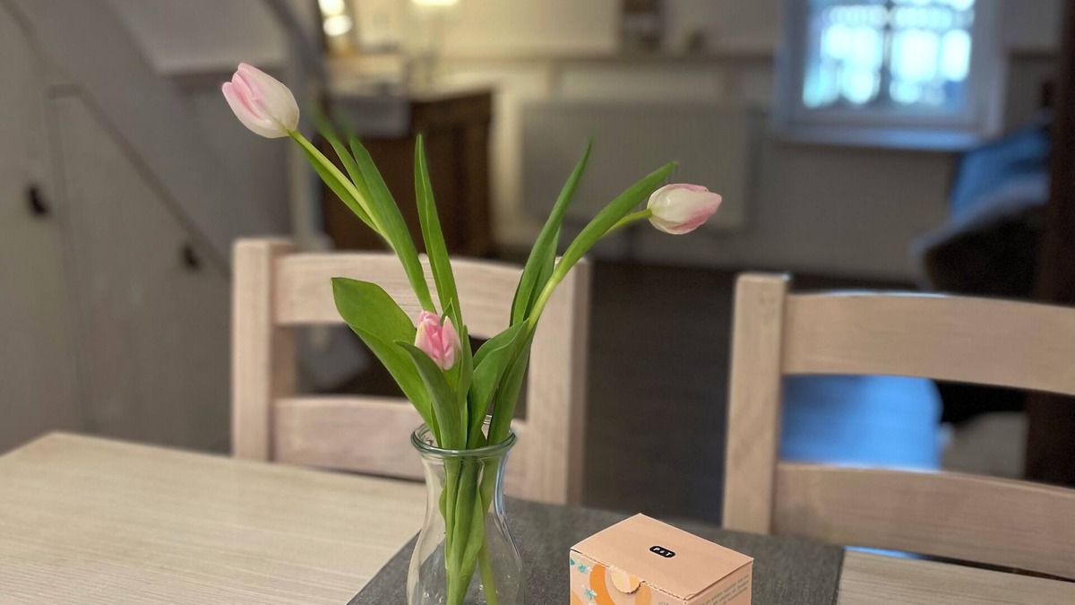 Bad Kreuznach Apartment | Separate old town apartment with loft.