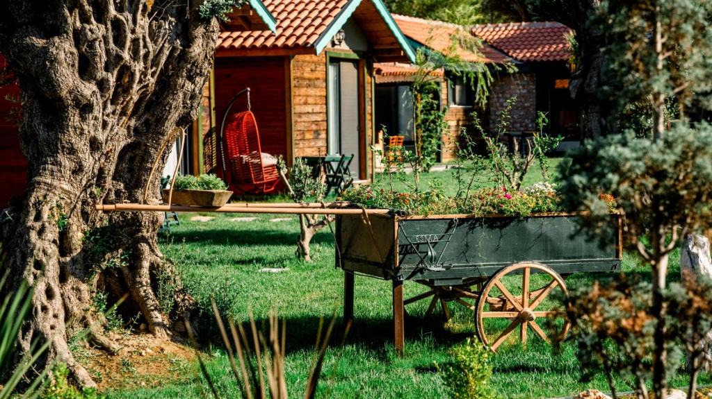 Foca Bed & Breakfast | SERENDER BUNGALOV