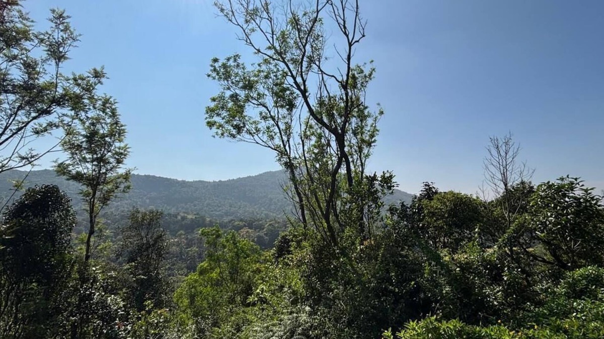 Kudrasthe House | Serene 2-bedroom estate in Somvarpet with stunning views