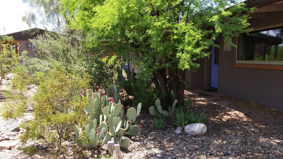 Tucson House | Serene and Charming, Private, Immaculate, Central, 2/1.5 Back yard and Pool