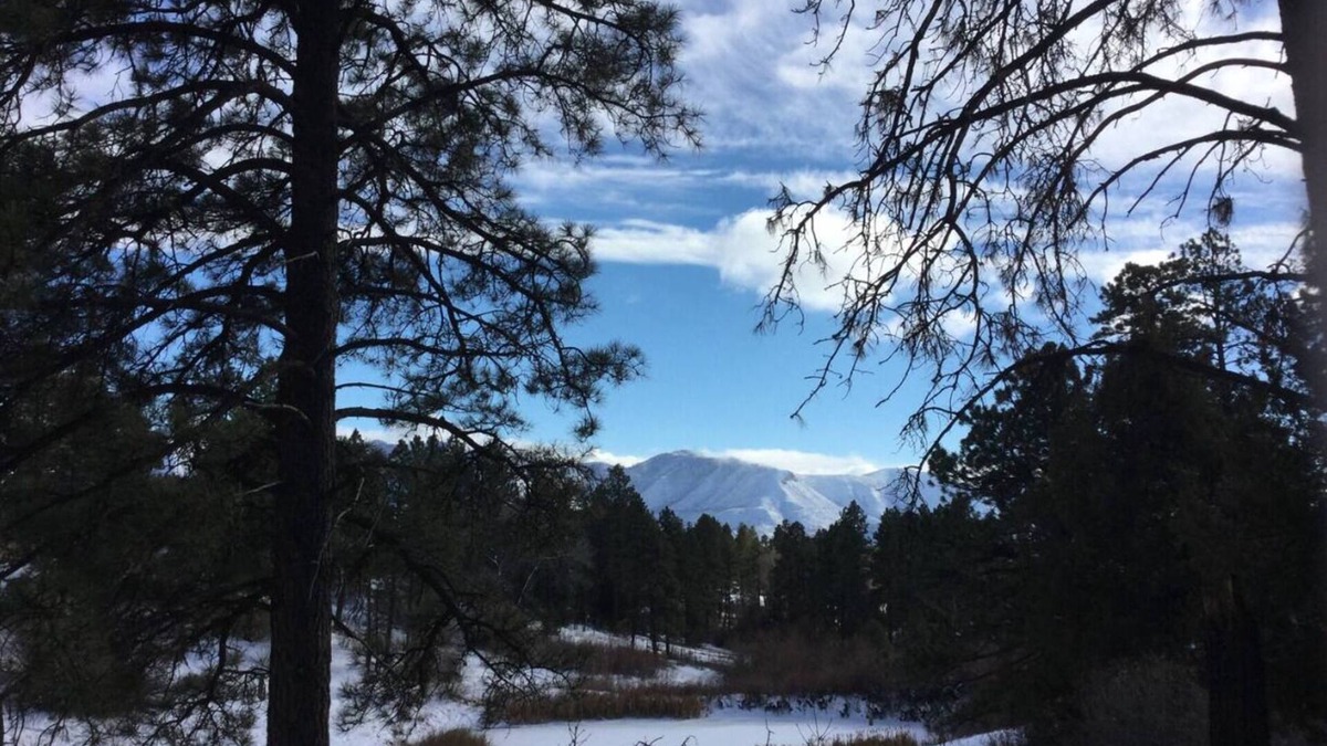 Mancos Cabin | Serene Cabin Retreat