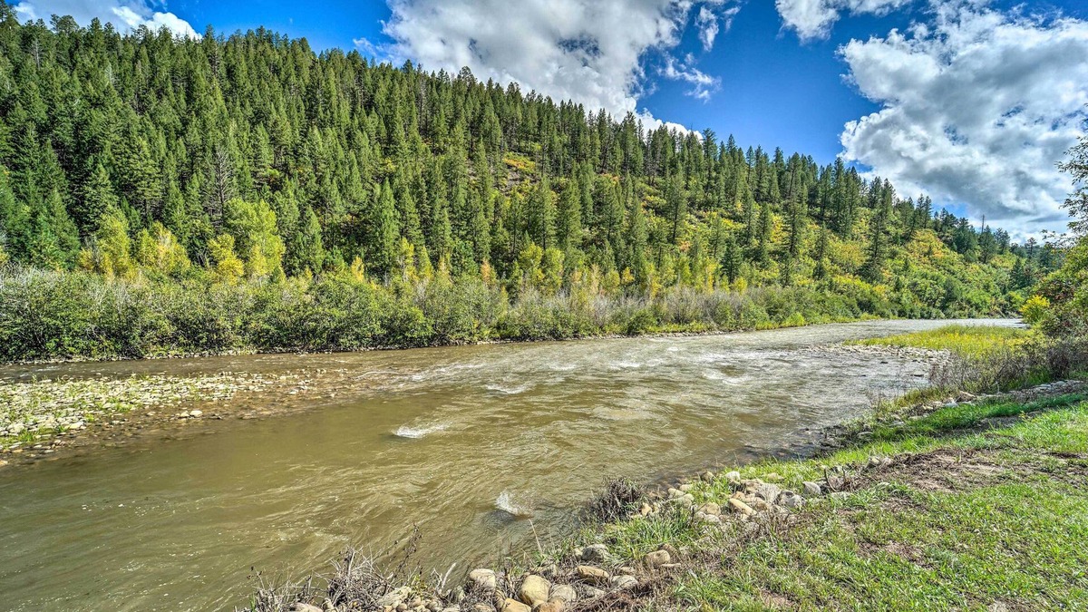 Dolores Cabin | Serene Dolores Cabin w/Patio & River Access!