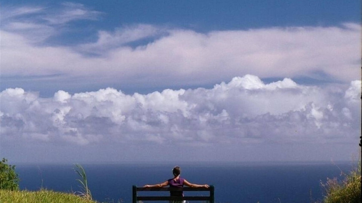 Honokaa House | Serene, Restored House from Sugar Days with Sweeping Ocean Views