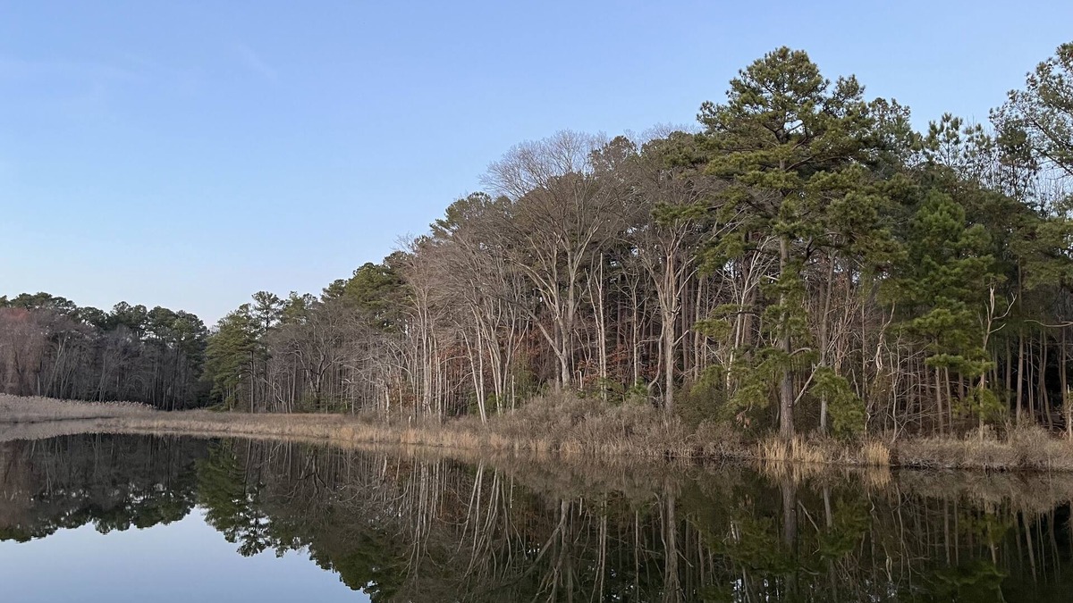 Avenue Cottage | "Serenity"-St. Patrick's Creek w/private pier
