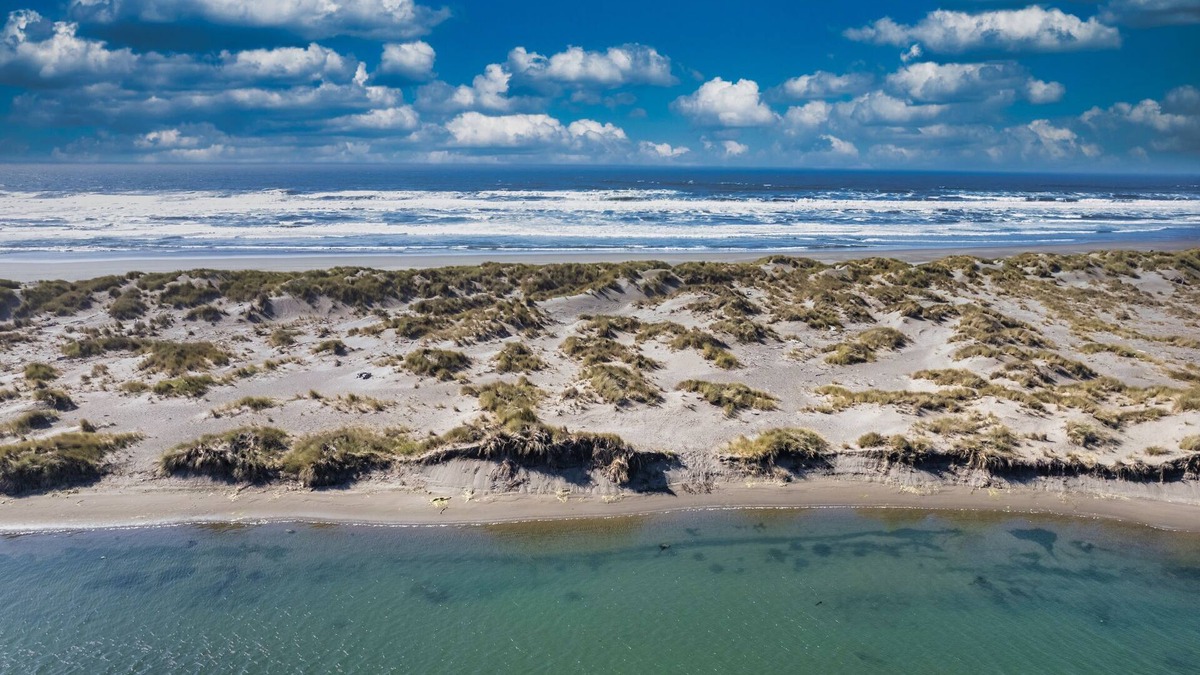 McKinleyville House | Serenity Wave -Tropical Oceanview Oasis
