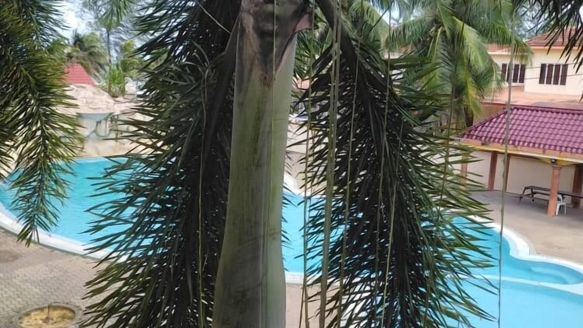 Batu Buruk Hotel | Seri Indah Resort SDN BHD