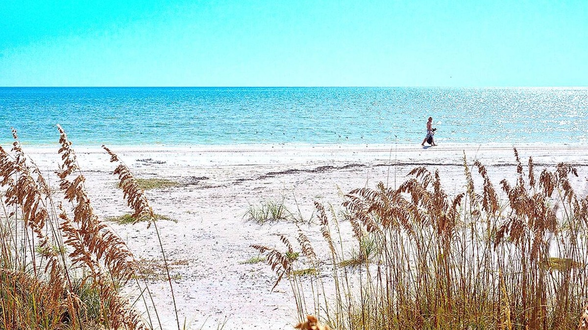 Bonita Springs Cottage | Serrano 201