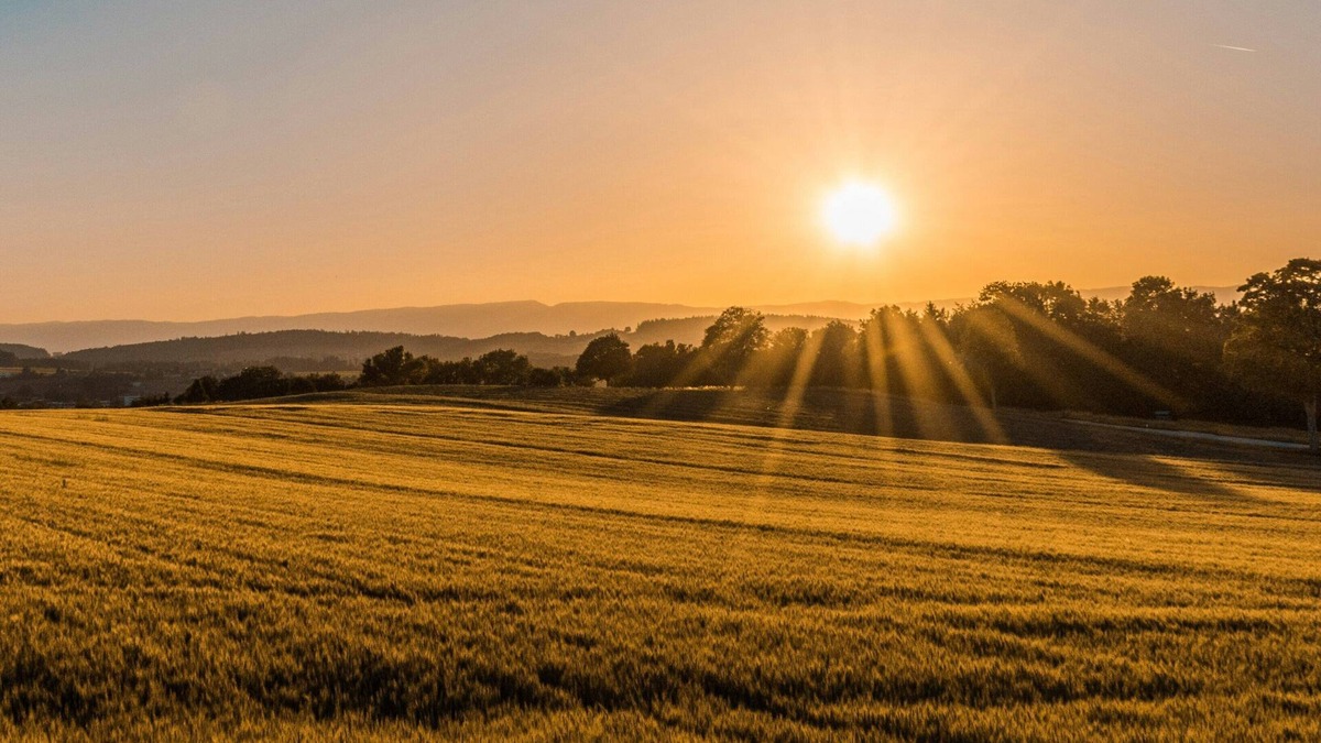 Bensdorf Apartment | Seven quiet rooms in a rural location