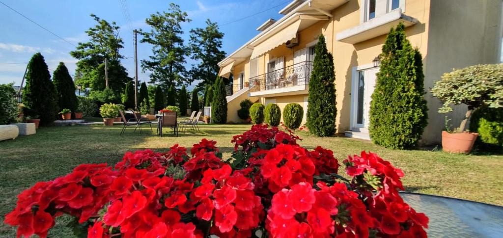 Ioannina Villa | Sevi's Luxury Guesthouse Villa