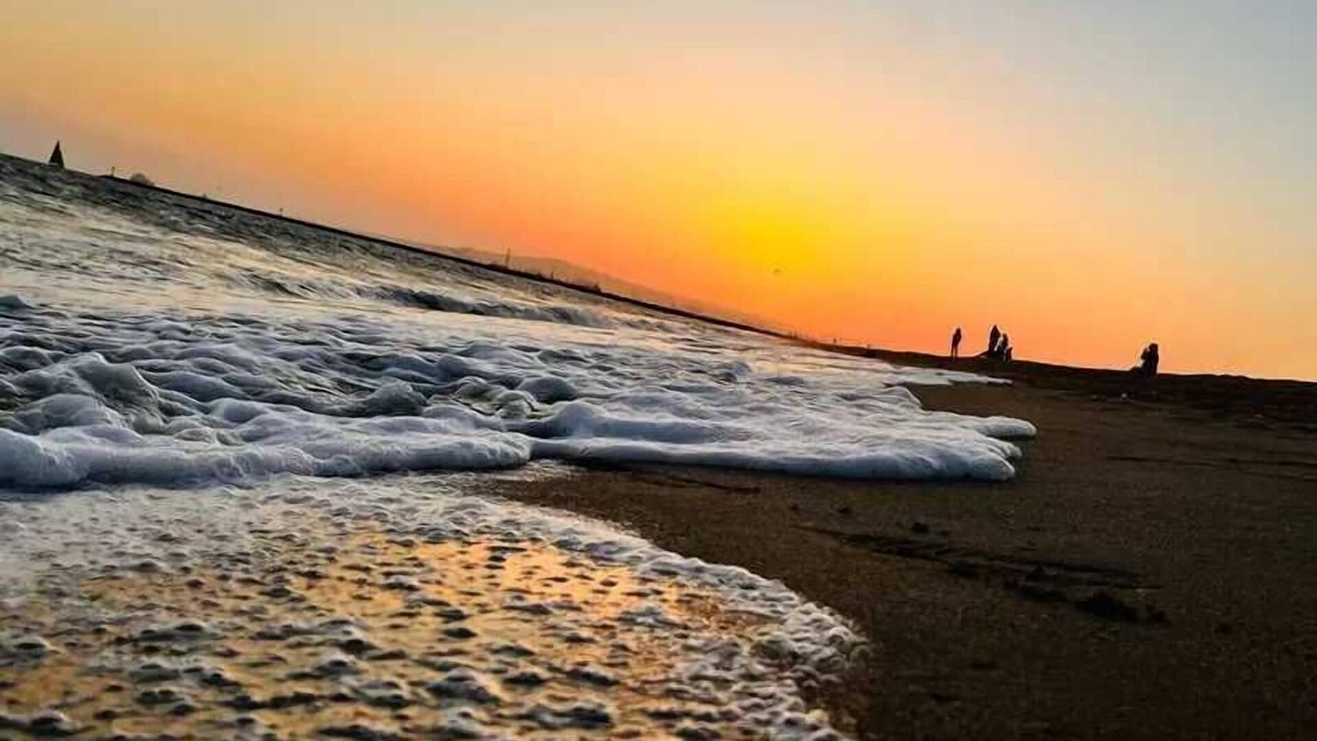 Belmont Shore Apartment | Shaggy Seahorse:Beach~Bay~2ndSt~Fast Wi-Fi+Pets OK