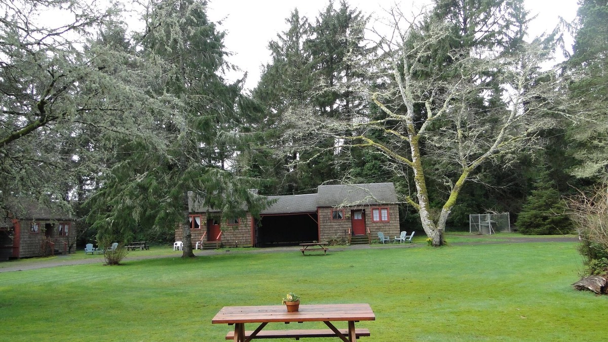 Ocean Park Cabin | Shakti Cove Cottages