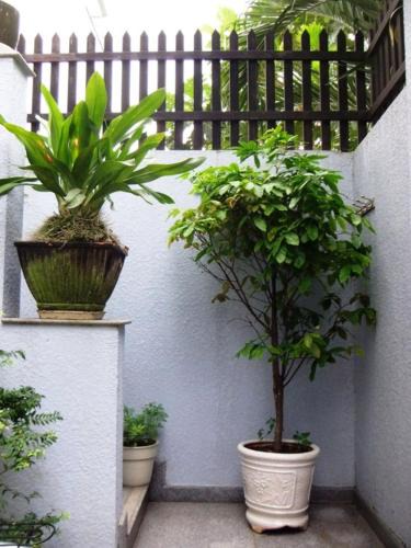 An Phu House | Shanti-blissed corner of Saigon river's end