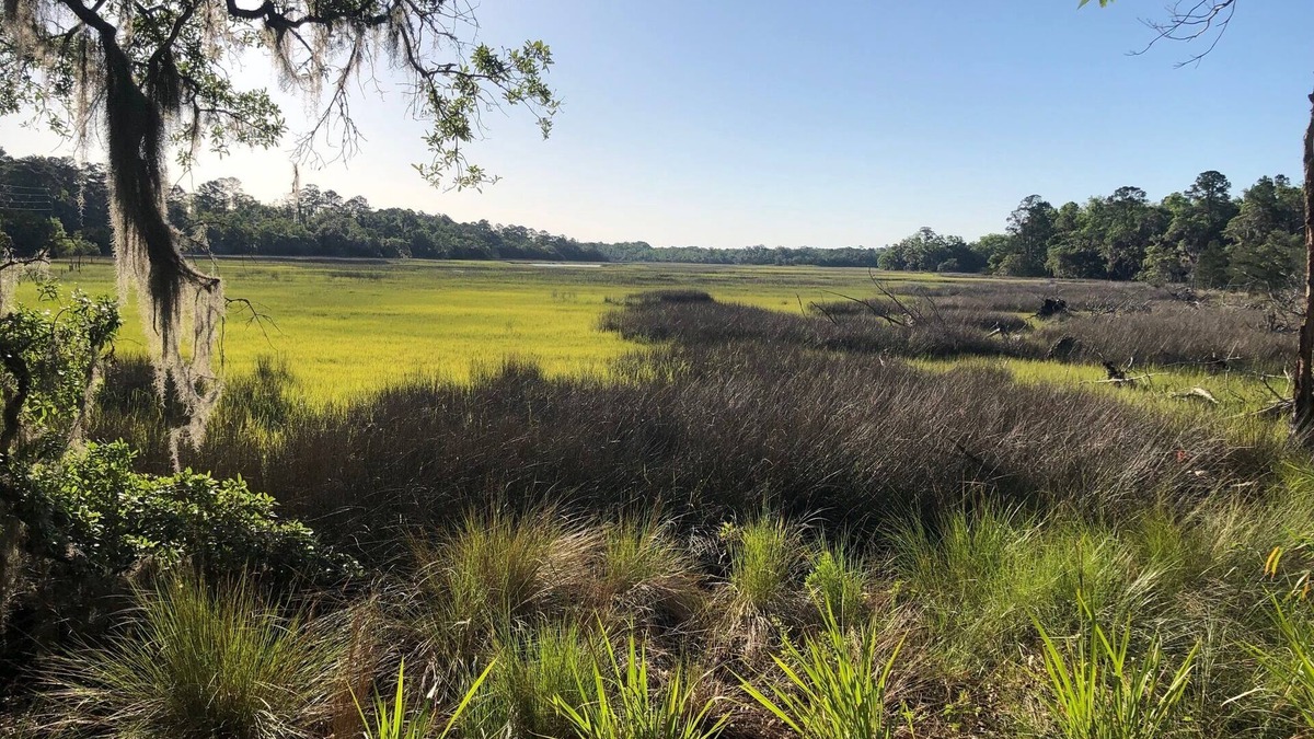 Valona House | Shellman Bluff GA & Harris Neck 0.5mi. Bird Nest Your perfect Nest & Marsh View