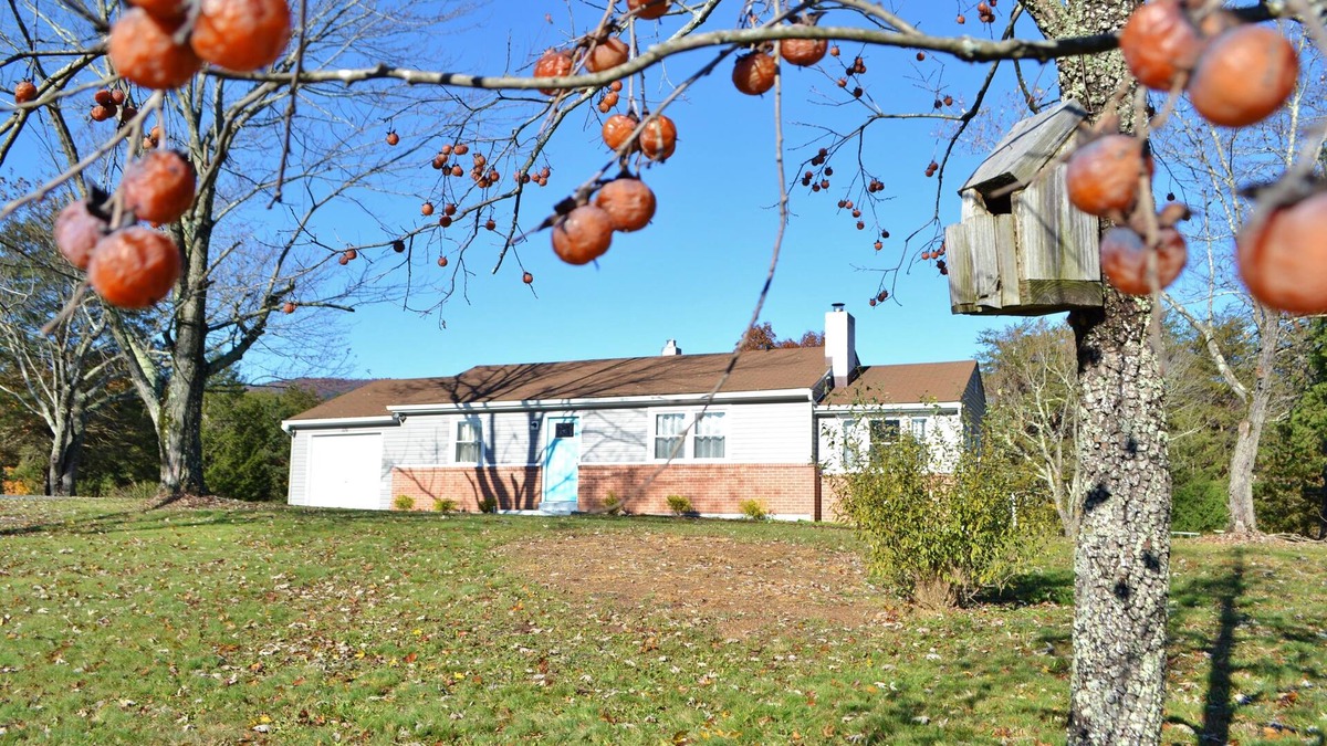 Fort Valley Cottage | Shenandoah Cottage at Persimmon hill with Mountain Views