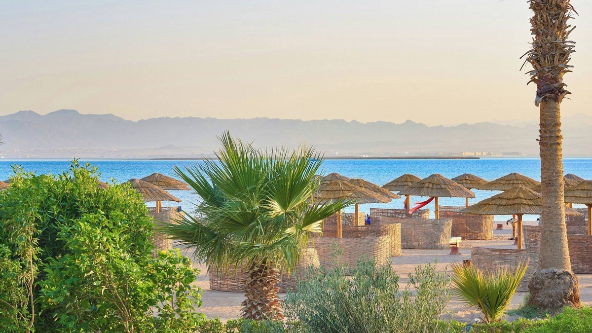 Soma Bay Resort | Sheraton Soma Bay Resort