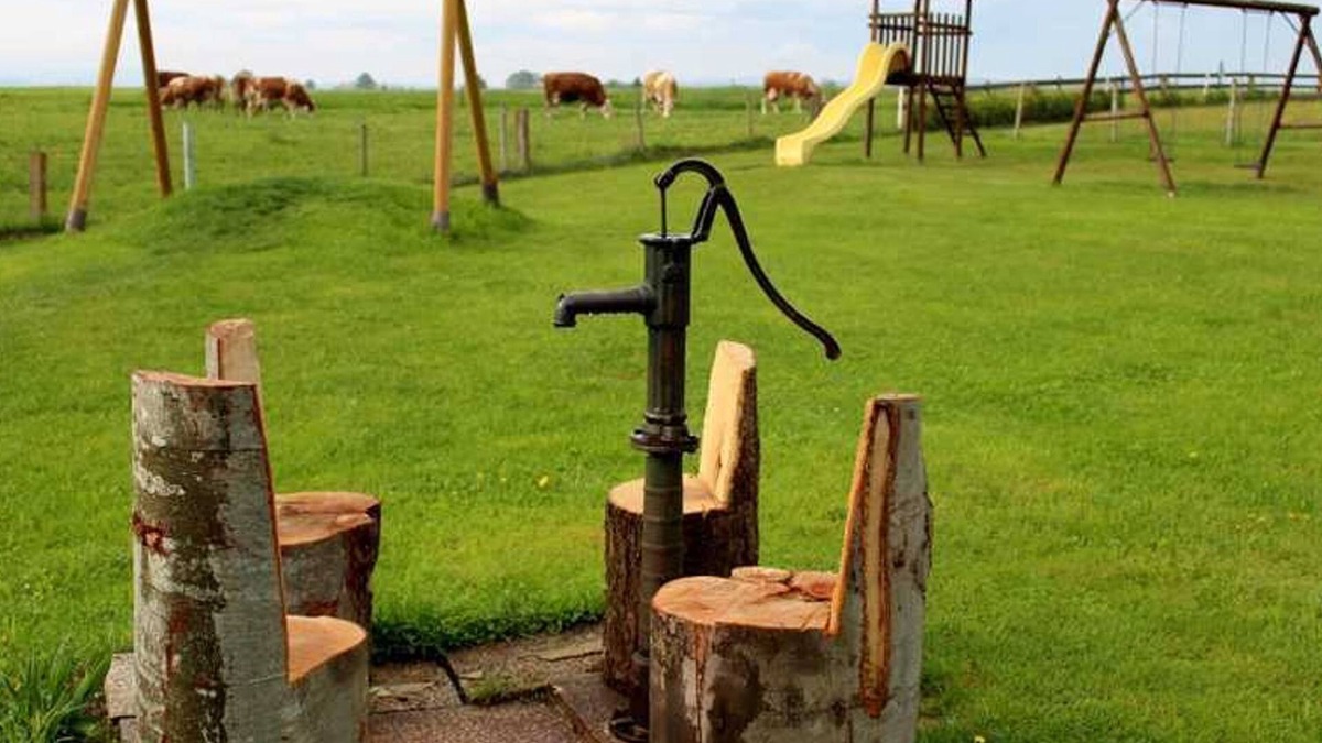 Sankt Ulrich im Muhlkreis Apartment | Shettland pony paddock - Langs Wirtshaus