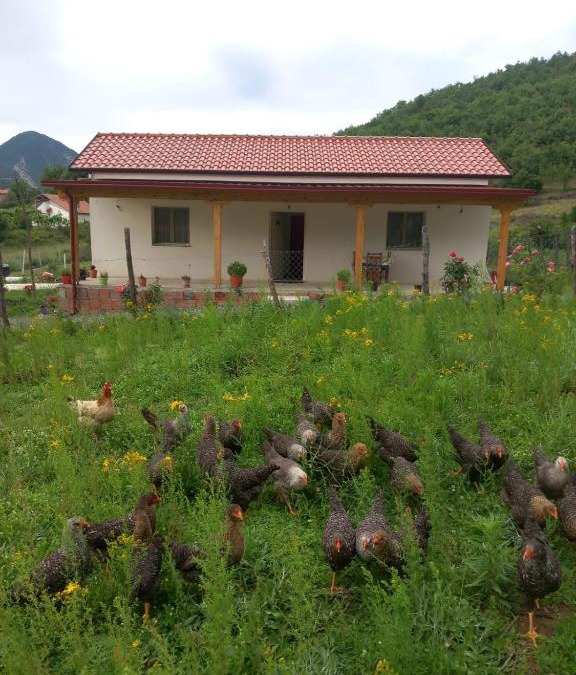 Sakës House | Shpija E AMEL (Sweet Guest House)