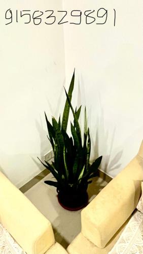 Candola Apartment | Shree Abode - AC 1 BHK in Marcel, Old Goa Panjim