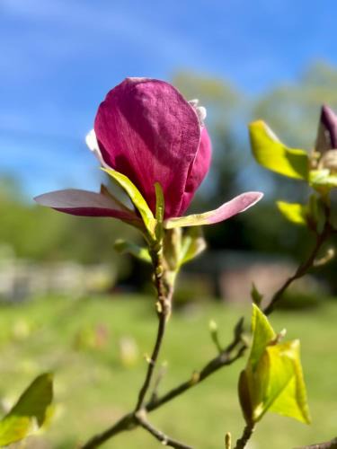 gmina Tyrawa Wołoska House | Siedlisko Nad Potokiem