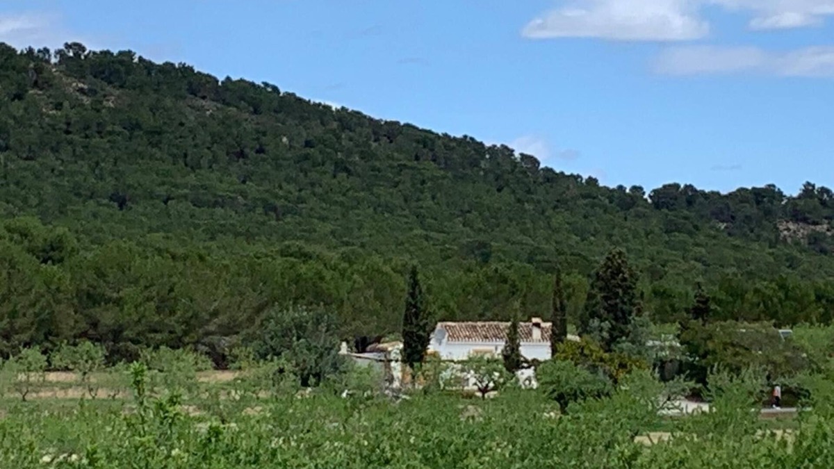 Pliego Cottage | Sierra Espuña Rural House surrounded by nature (pet friendly)