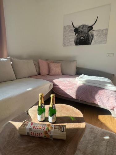 Karnburg Apartment | Silent City Apartments