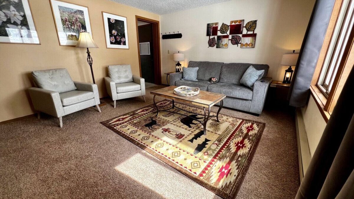 Lake City Condo | ⭐️Silver Street Condos Unit 1 - Ride the Alpine Loop 🏔️❤️